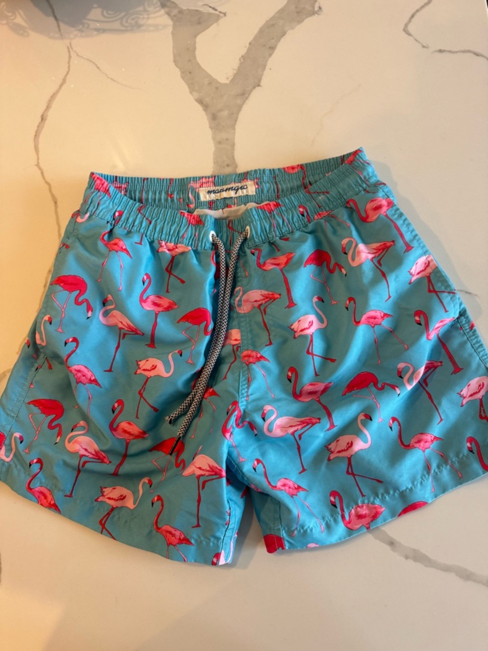 Mens Flamingo Print Swim Trunks - Turquoise Pink